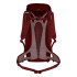 Mochila Montanha Mulher de Salewa Alp Mate 30 Tinto Syrah