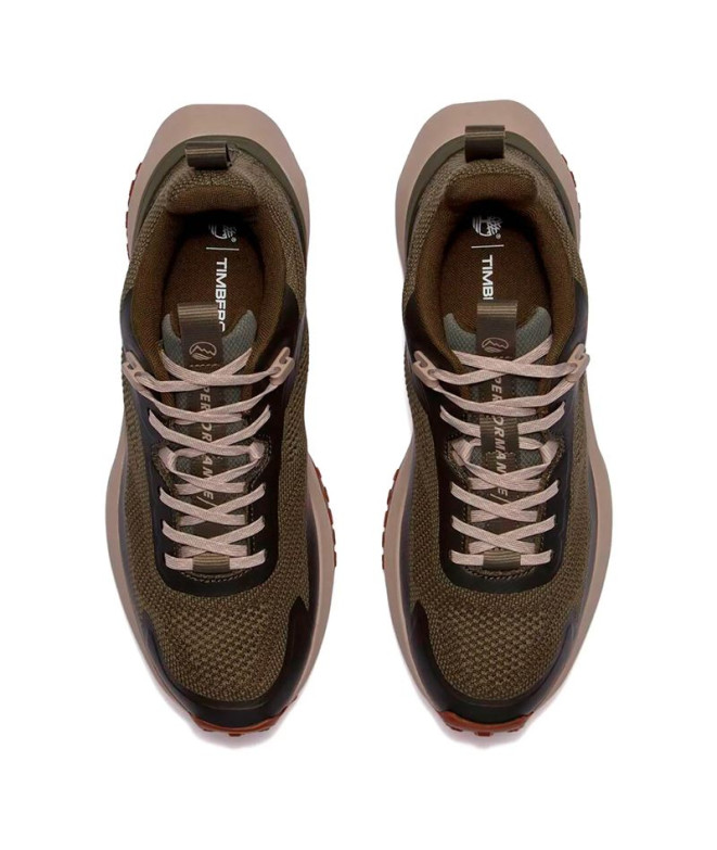 Chaussures Timberland  Motion Acces Low Lace UP...