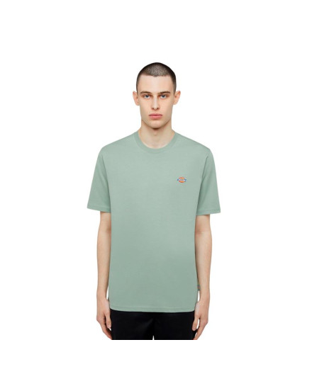 Camiseta Dickies T-shirt Ss Mapleton Verde Iceberg Homem