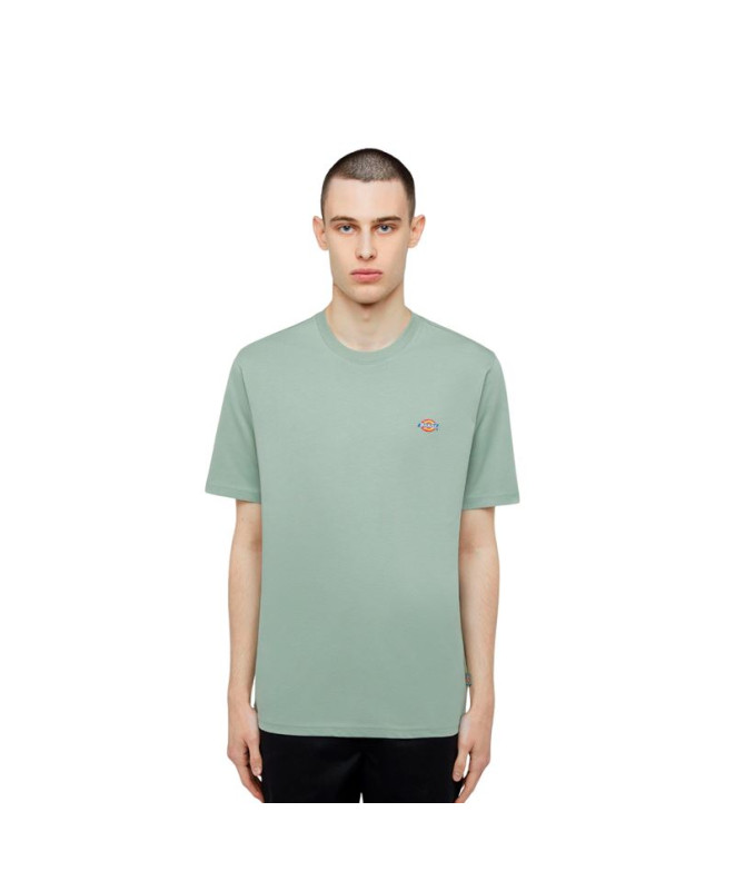 Camiseta Dickies Ss Mapleton Tee Iceberg Verde Hombre