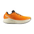 Chaussures de Running Salomon Aero Glide 3 Turmeric/White/Black Homme