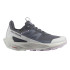 Sapatilhas de Montanha Salomon Elixir Activ GORE-TEX® Mulher Cinza