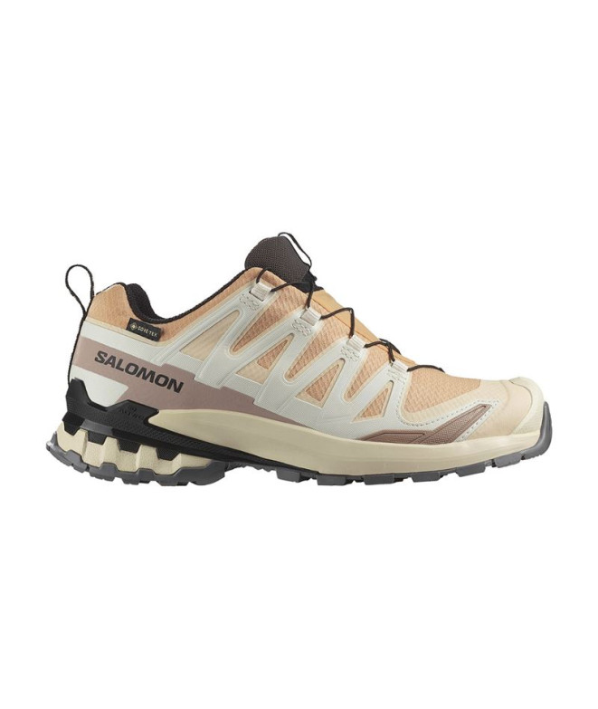 Sapatilhas de trail Salomon Baixo XA Pro 3 V9...