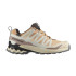 Sapatilhas de trail Salomon Baixo XA Pro 3 V9 GTX Bege