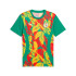 Camiseta de Futebol Puma Senegal Prematch Ss Homem Verde