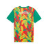 Camiseta de Futebol Puma Senegal Prematch Ss Homem Verde