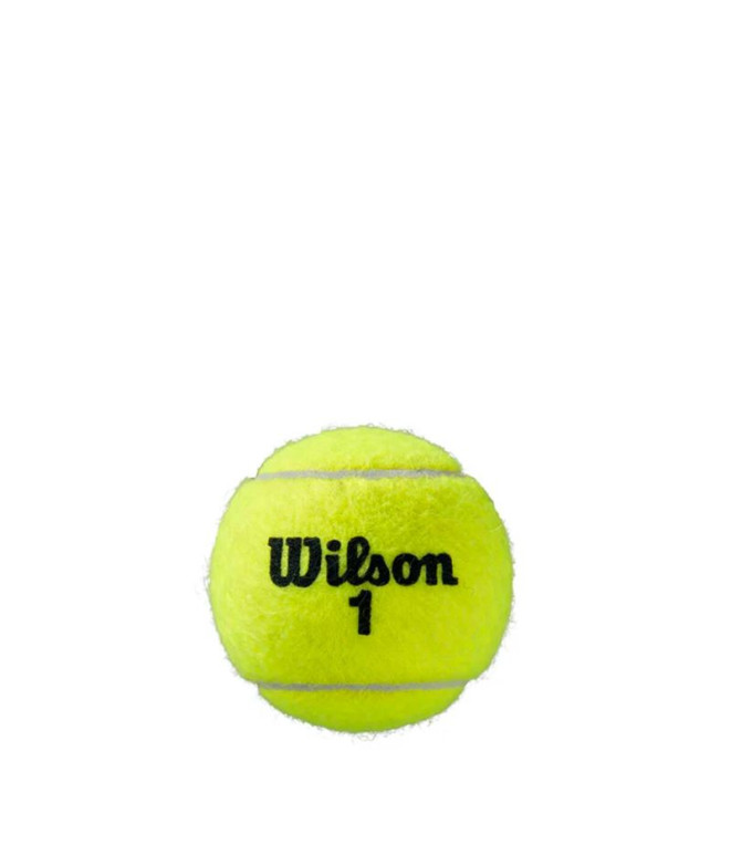 Balles de Tennis Wilson Roland Garros All Ct 4 Ball Jaune