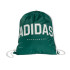Bolsa de Deporte adidas Var Gymsack Verde