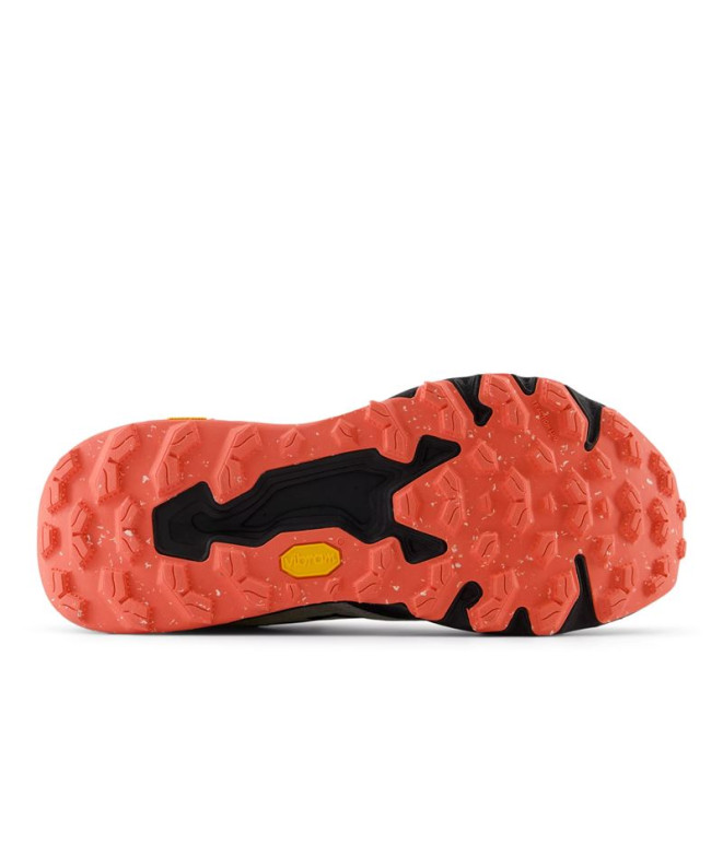 Zapatillas De Trail New Balance Fresh Foam X...