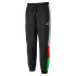 Sportswear Puma TFS OG Track Pants