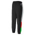 Sportswear Puma TFS OG Track Pants