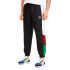 Sportswear Puma TFS OG Track Pants