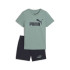 Camiseta Puma Essentials No.1 Logo An Menino Verde