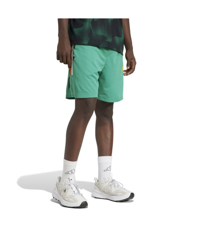 Pantalons adidas Tiro Cb_Np Sh Homme Vert