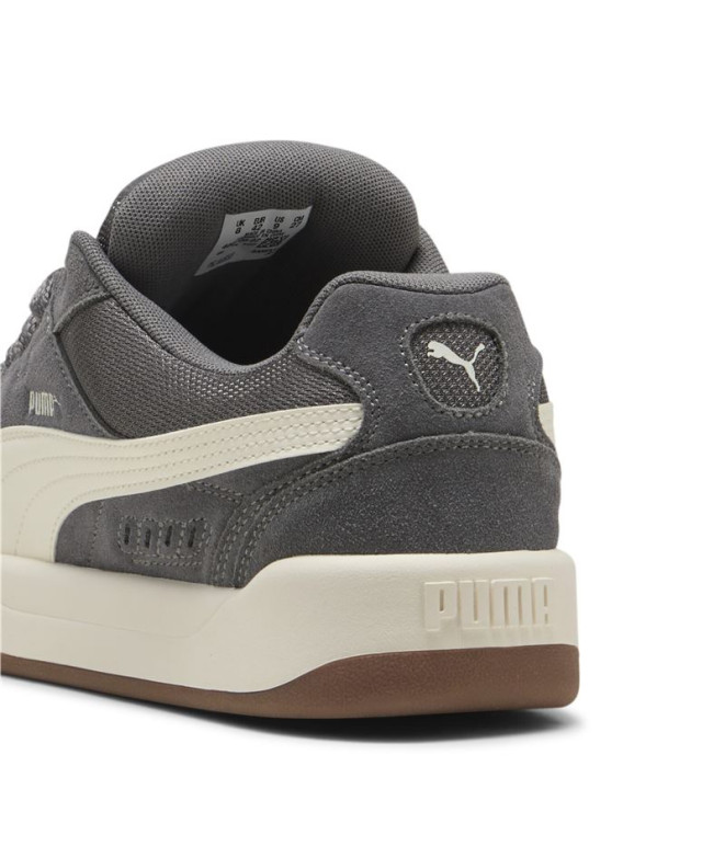 Chaussures Puma Park Lifestyle Sk8 S Homme Cool...