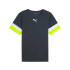 Camiseta de Futebol Puma Individualrise Homem Cinza