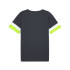 Camiseta de Futebol Puma Individualrise Homem Cinza