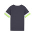 Camiseta de Futebol Puma Individualrise Menino Cinza
