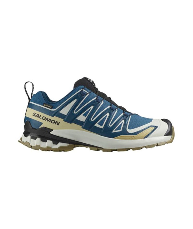 Chaussures de Trail Salomon Xa Pro 3D V9 Gtx Homme Bleu