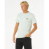 Camiseta Rip Curl Desti Animals Tee Hombre Menta