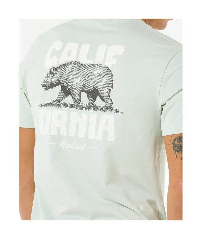 T-shirt Rip Curl Desti Animals Tee Homme Menthe