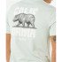 Camiseta Rip Curl Desti Animals Tee Hombre Menta