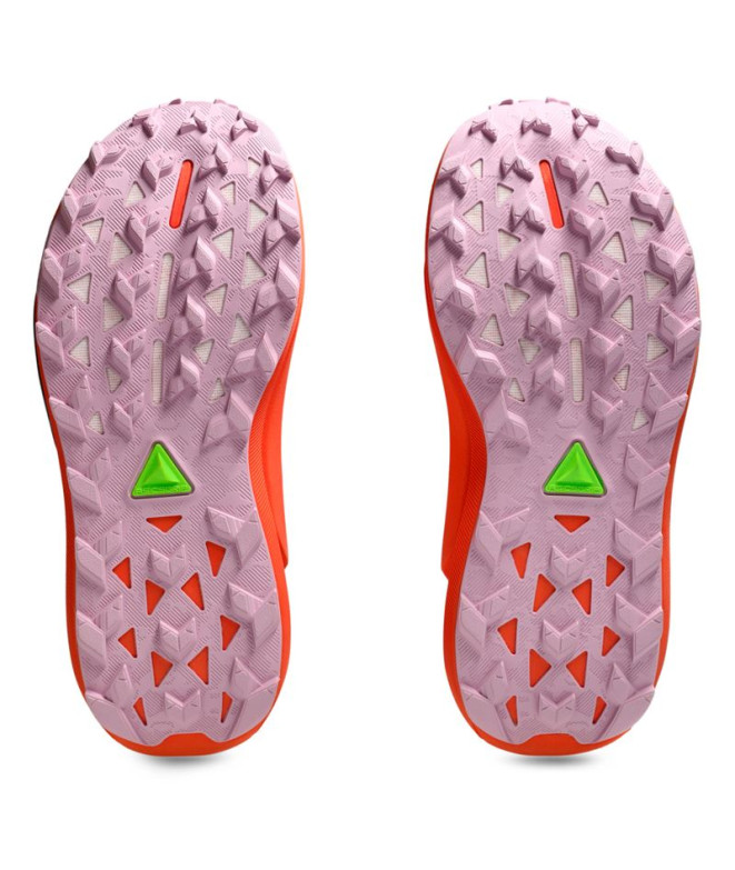 Chaussures de Trail ASICS Gel-Trabuco 13 Femme...