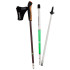 Bastón de Montaña Gabel Nordic Revo Alu/Tech (1 Par) Silver Verde