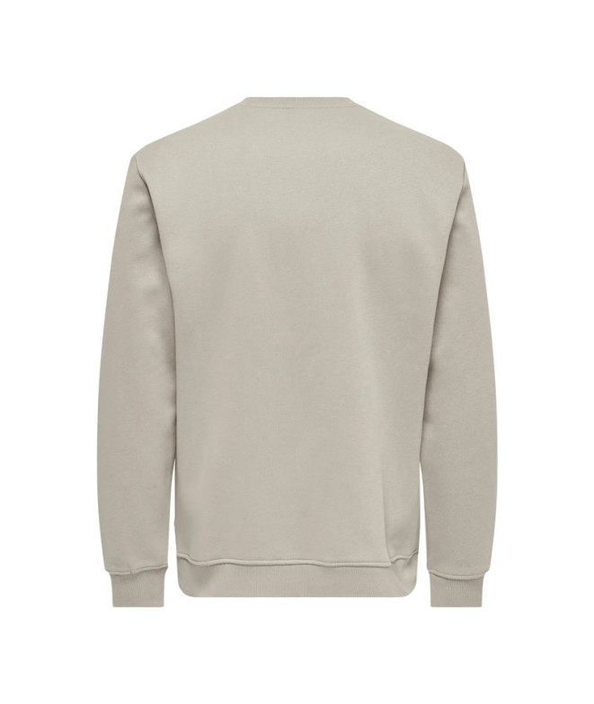 Sudadera Only & Sons Onsconnor Reg Crew Neck...