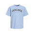 Camiseta Jack and Jones Jjecaleb Varsity O-Neck Noos Infantil Chambray Blue