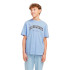 Camiseta Jack and Jones Jjecaleb Varsity O-Neck Noos Infantil Chambray Blue