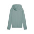 Sweat Puma Ess Metallic Hoodie Femme Vert/Argent
