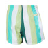 Maillot de bain Helly Hansen Newport Trunk Homme Iced Matcha
