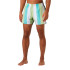 Maillot de bain Helly Hansen Newport Trunk Homme Iced Matcha