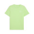 Camiseta Puma Essentials Small No. 1 Logo Homem Spring Fern
