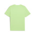 Camiseta Puma Essentials Small No. 1 Logo Homem Spring Fern
