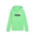 Sweat Puma Essentials 2, Printemps Fern Enfant
