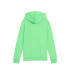 Sweat Puma Essentials 2, Printemps Fern Enfant