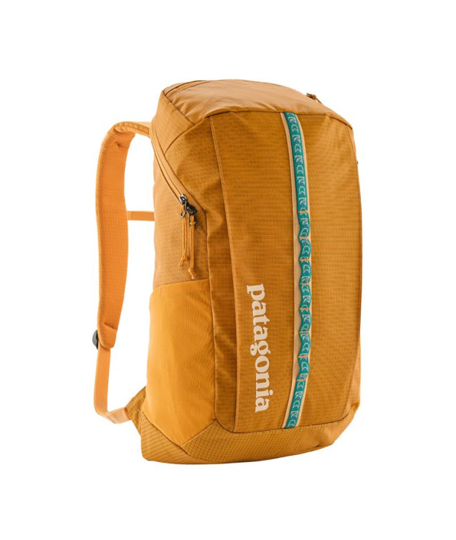 Mochila de Montaña Patagonia Black Hole Pack 25L Marrón