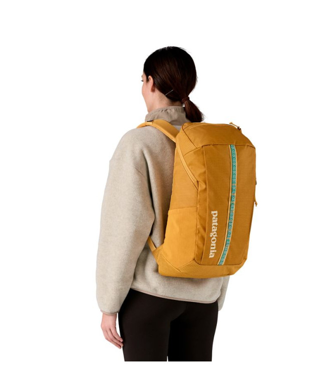 Mochila de Montanha Patagonia Black Hole Pack...