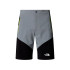 Calça de Montanha The North Face Felikli Tapered Homem Cinza