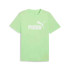 Camiseta Puma Essentials No. 1 Logo Spring Fern Homem