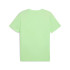 Camiseta Puma Essentials No. 1 Logo Spring Fern Homem