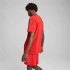 Camiseta Puma Essentials Tapefor Hombre Rojo
