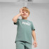 Camiseta Puma Essentials No. 1 Logo P Niño Verde