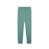 Pantalón Puma tech Pants Dk Cl Hombre Verde