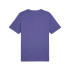 Camiseta Puma Graphics IconBlue Crystal Homem