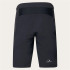 Pantalon de Cyclisme Oakley Free Ride Short Homme Noir