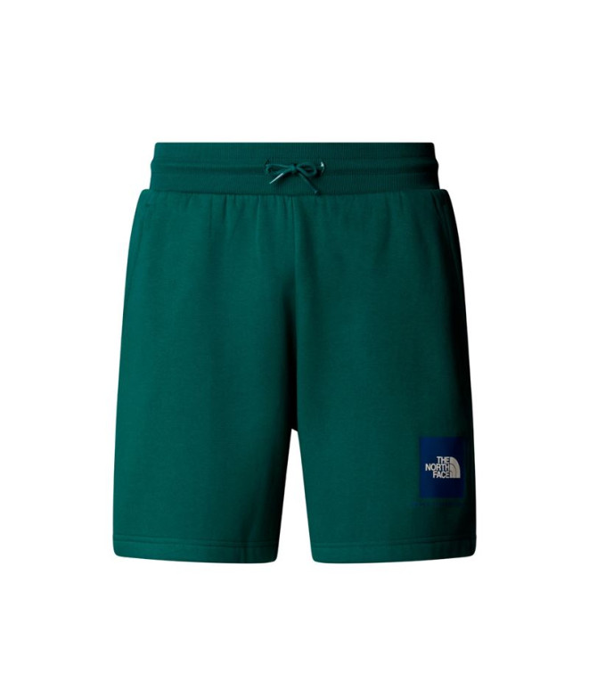 Pantalones de Montaña The north Face Box Nse Regular Green Hombre