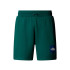 Calça de Montanha The North Face Box NSE Regular Green Homem
